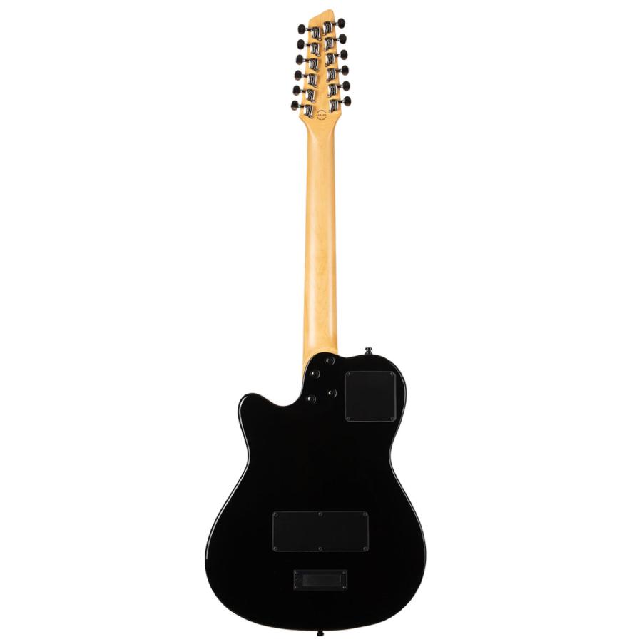 Godin Guitars A12 Black HG | ゴダン 12弦ギターの画像