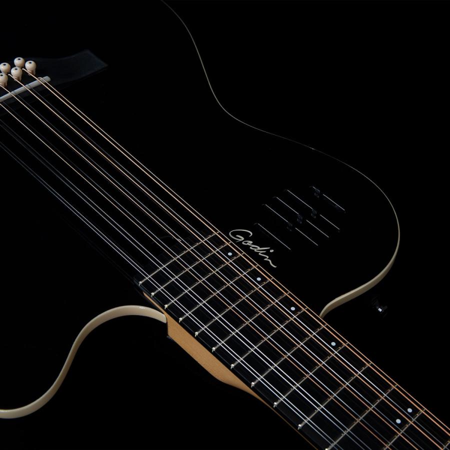 Godin Guitars A12 Black HG | ゴダン 12弦ギターの画像