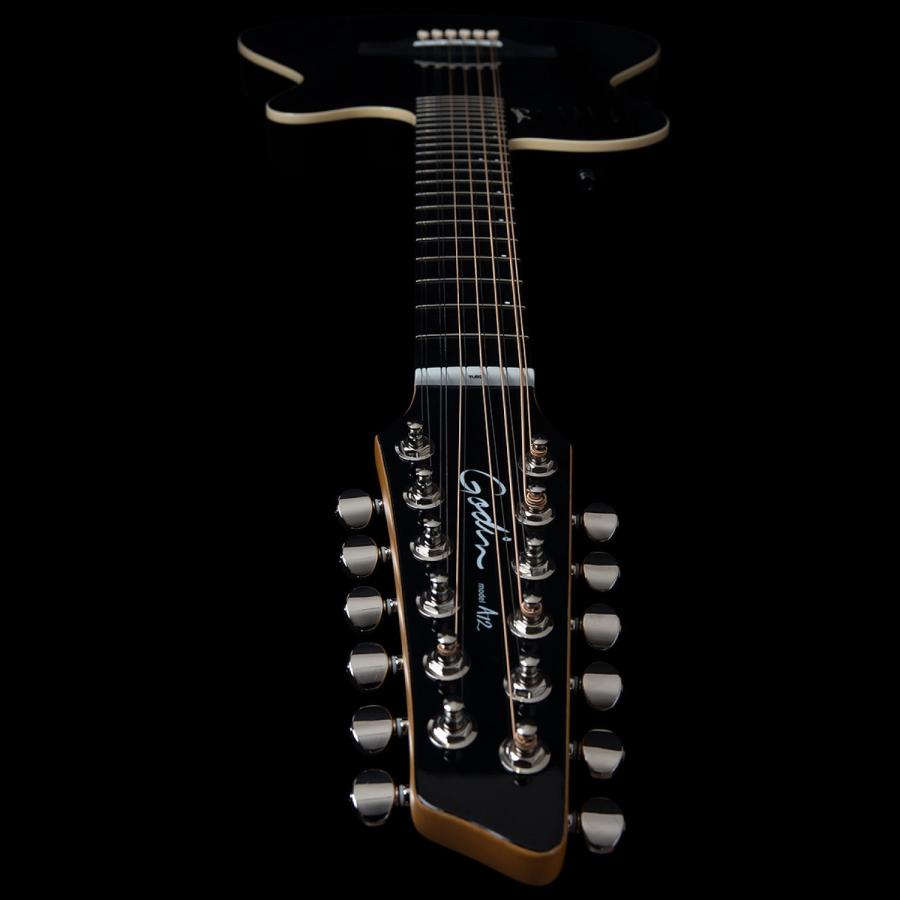 Godin Guitars A12 Black HG | ゴダン 12弦ギターの画像