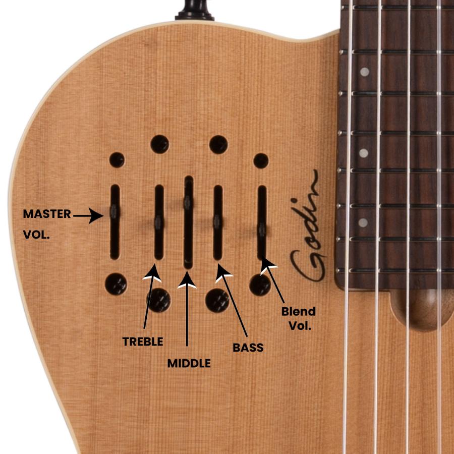 Godin Guitars Multiac Nylon Encore Left-Handed | ゴダン マルティアック アンコール レフティ 左利き用の画像