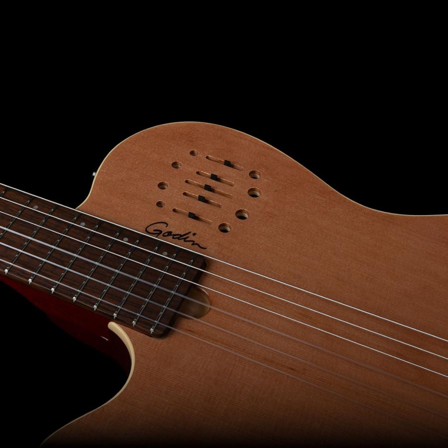 Godin Guitars Multiac Nylon Encore Left-Handed | ゴダン マルティアック アンコール レフティ 左利き用の画像