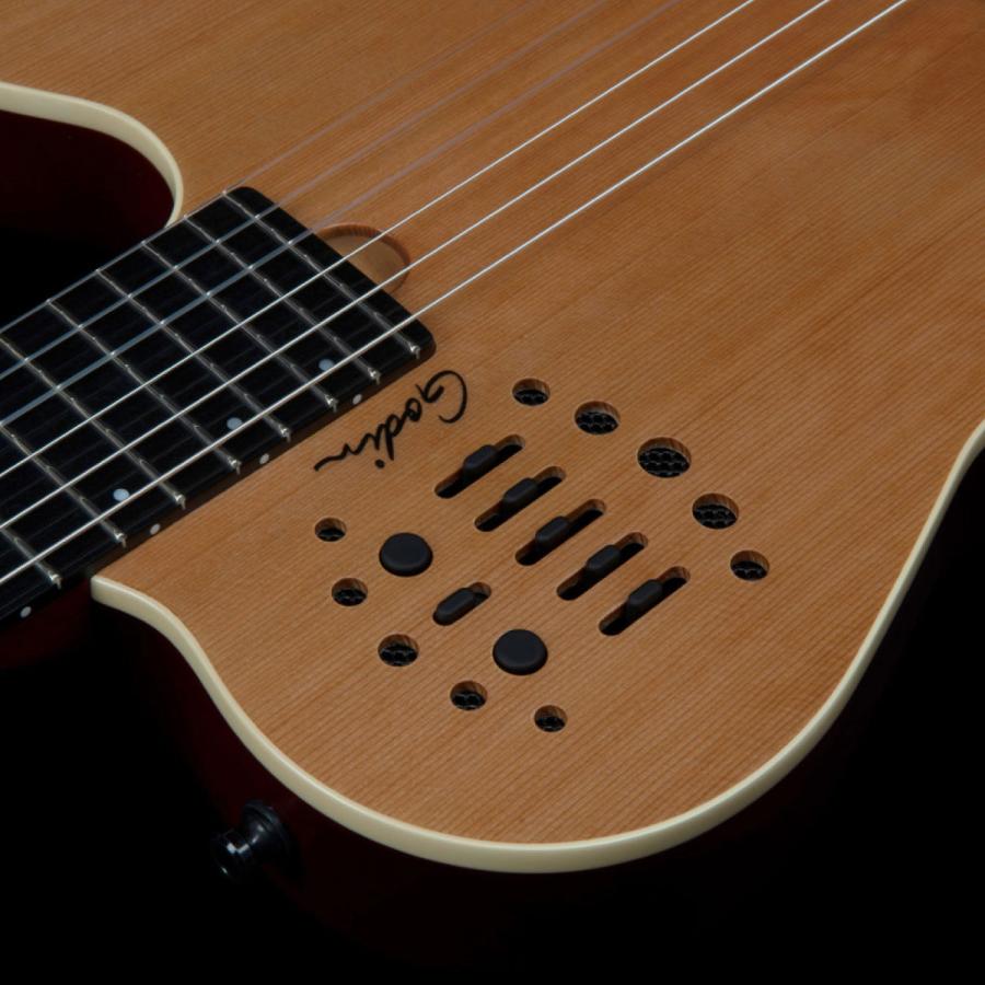 Godin Guitars ACS SLIM Nylon Natural SGの画像