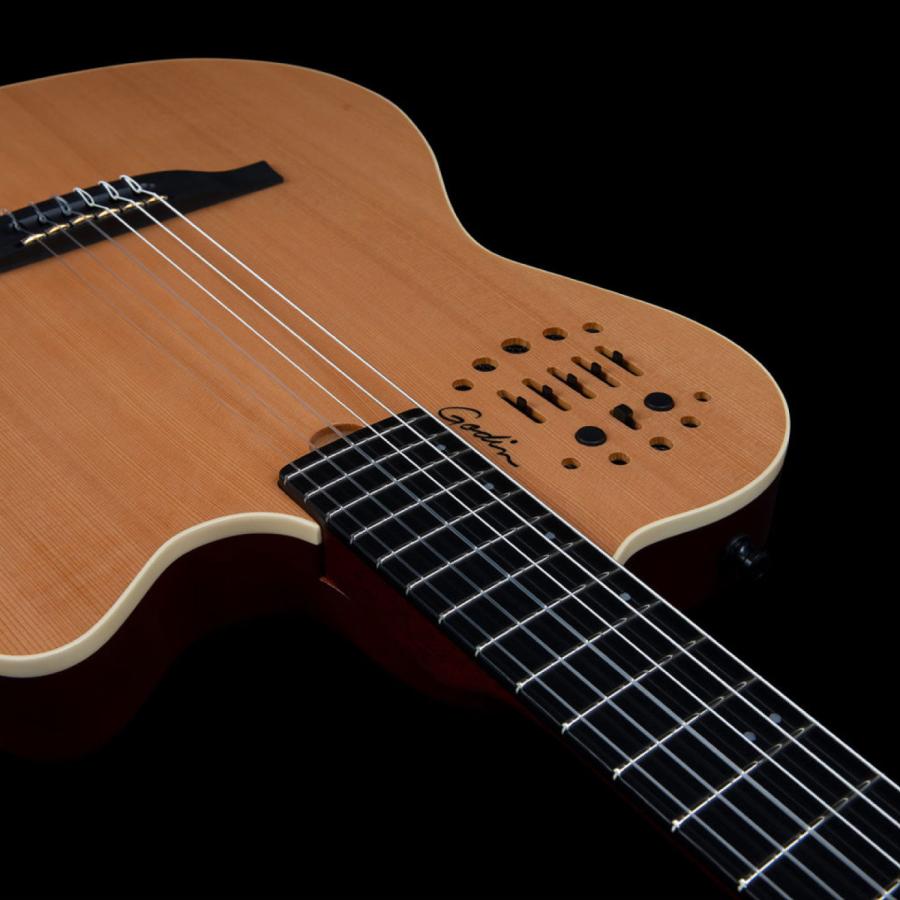 Godin Guitars ACS SLIM Nylon Natural SGの画像