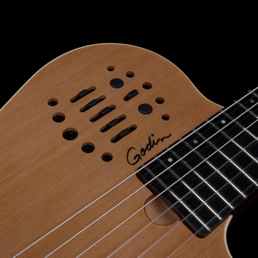 Godin Guitars ACS SLIM Nylon Natural SGの画像