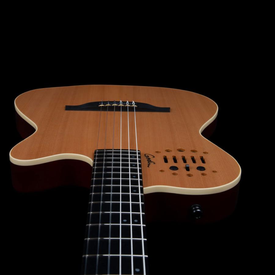 Godin Guitars ACS SLIM Nylon Natural SGの画像
