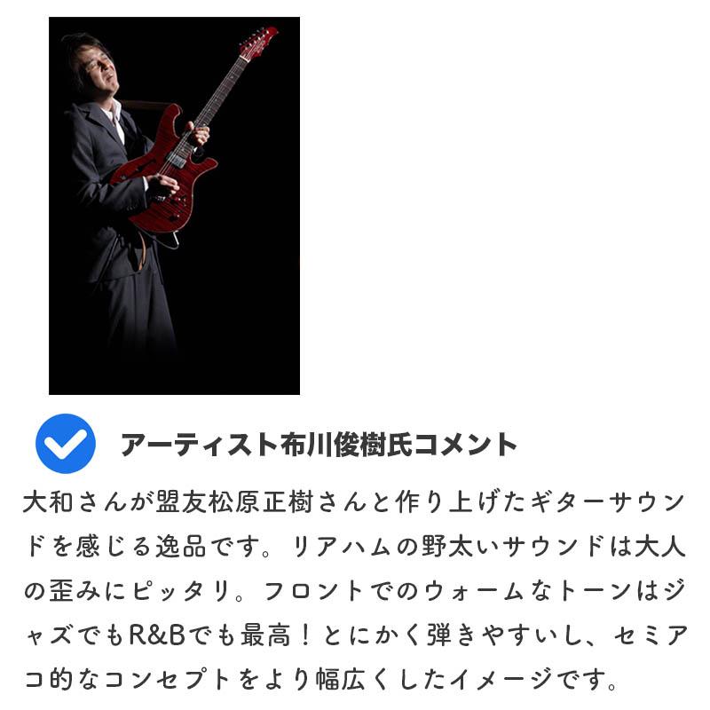 MD-MM Produce MD-Premier G1-Reborn BSB (Brown Sunburst) | エレキ エレキギター エムディー エムエム リボーン ブラウンサンバーストの画像