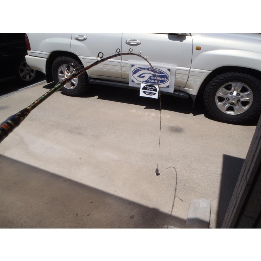 竹竿13本・ジャンク・ 即決！ 剛樹 幻竹竿真鯛極 即納可能です。 : 喜客屋FIDJI - 通販