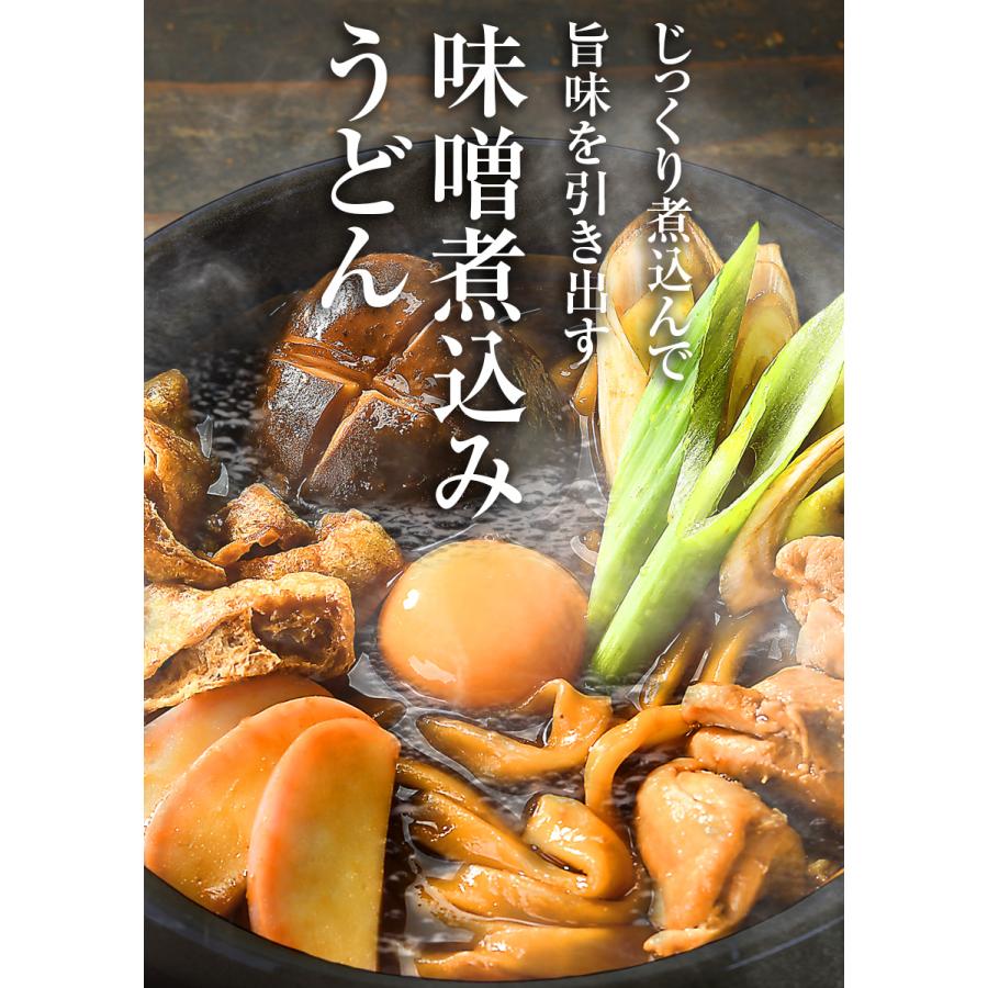 うどん お試しセット 送料無料 味噌煮込みうどん セット 2種類の濃厚