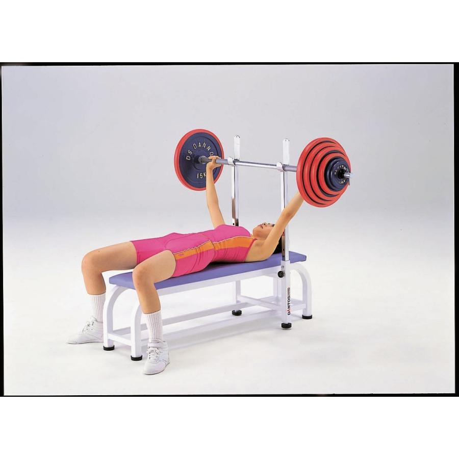 個人宅配送不可)DANNO 淡野製作所 パワーベンチ（W500） D-536 (送料