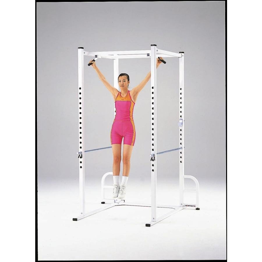 DANNO（ダンノ） (個人宅配送不可)DANNO 淡野製作所 パワーラック D