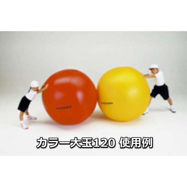 EVERNEWエバニュー 運動会 イベント カラー大玉120 青 EKA360BL(送料