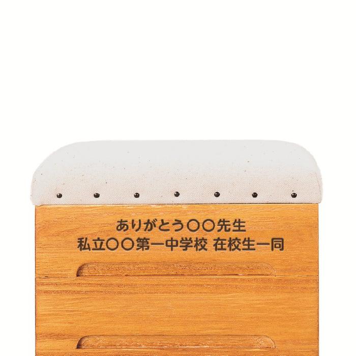 (送料無料)ミニチュアとび箱 小物入れ3段 記念品 体育 学校  エバニュー EVERNEW EKF251の画像