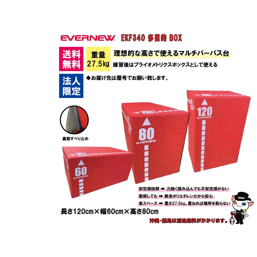 EVERNEW（エバニュー） (個人宅不可)EVERNEW 学校 体育 バレーボール