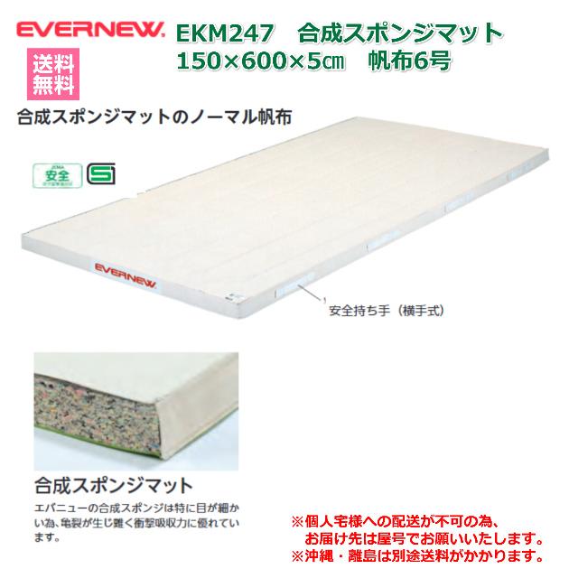 (個人宅配送不可)エバニュー EVERNEW 体操マット 体育 学校 合成スポンジマット6号150×600×5 EKM247 (送料無料)の画像
