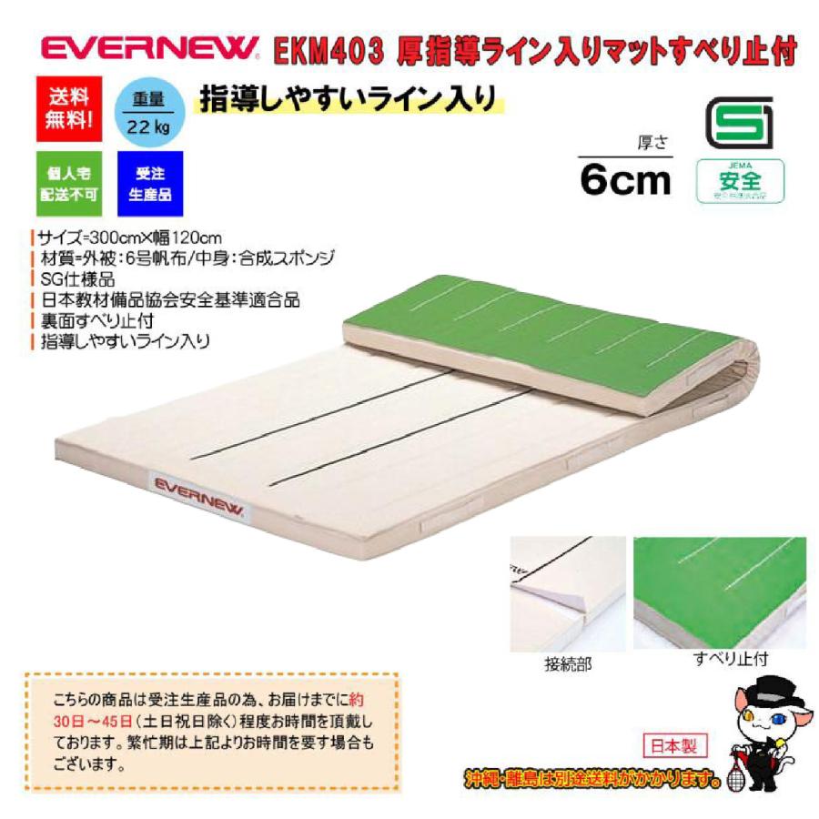 (個人宅配送不可)エバニュー　EVERNEW　体操　体育　学校　幼稚園　保育園　指導ライン入りマット滑止120×300×6　M403　(送料無料)_1