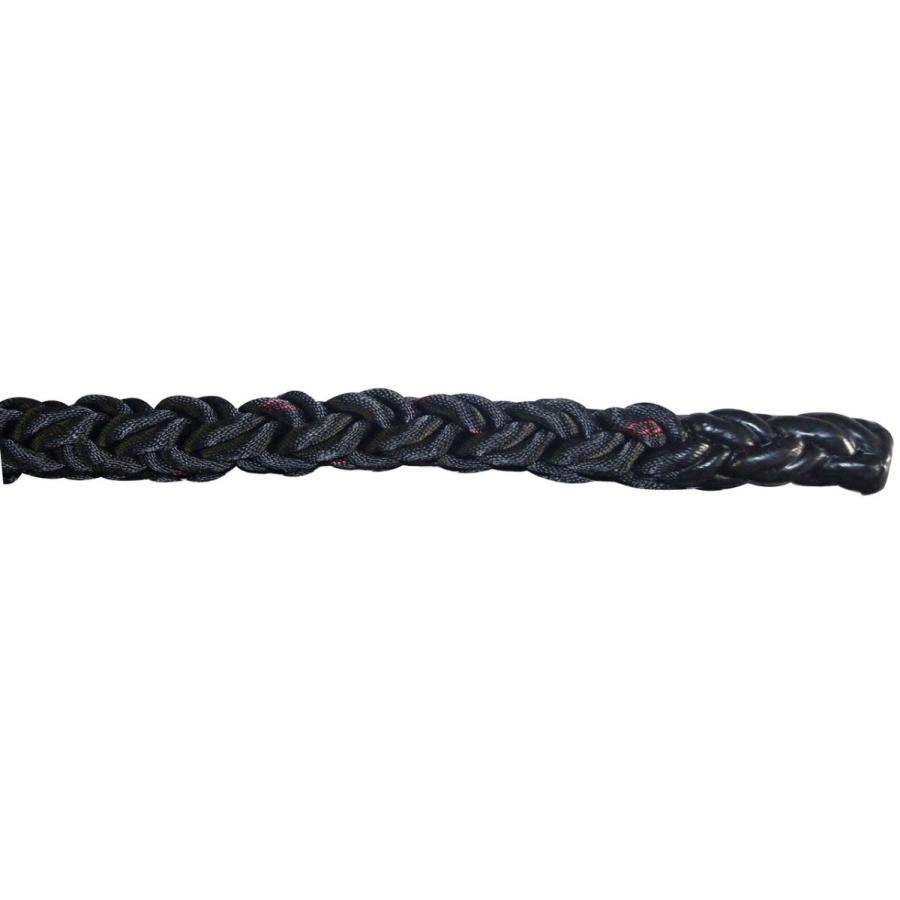 (送料無料) ABANE トレーニング 筋トレ フィットネス 特太トレーニングロープΦ30mm×9ｍ (アカバネ) F-2060の画像