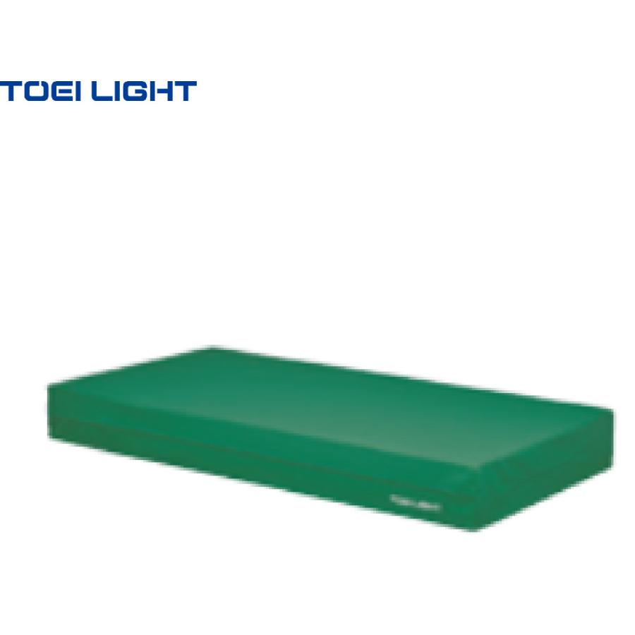 TOEI LIGHT（トーエイライト） (個人宅配送不可)(送料無料) 屋内用