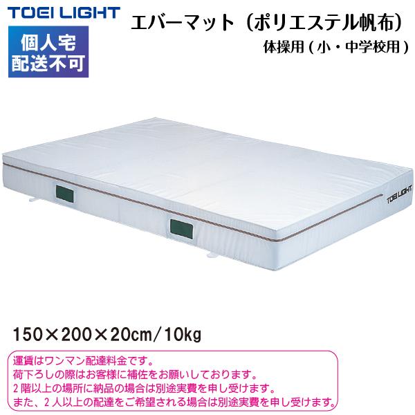 (個人宅配送不可)(送料別) トーエイライト エバーマット（ポリエステル帆布） 150×200×20 G-2010 TOEILIGHTの画像
