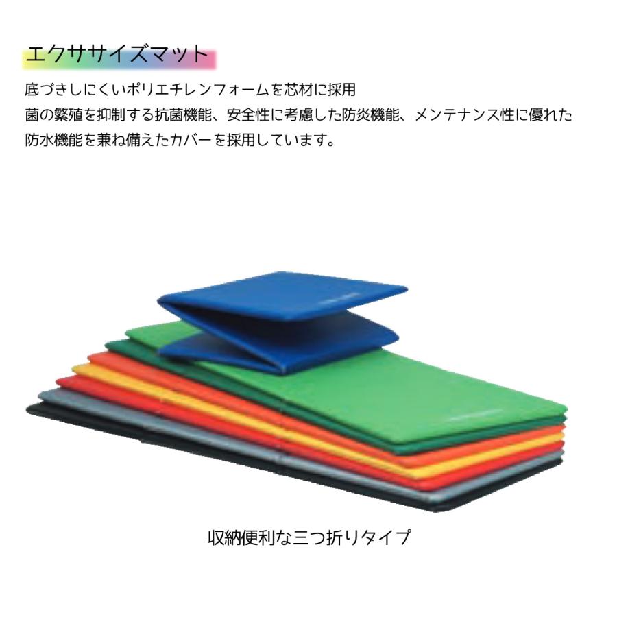 商品が購入激安 (個人宅配送不可)(送料無料)　トーエイライト　エクササイズマットF180　60×180×2　青　H-7477B　TOEILIGHT