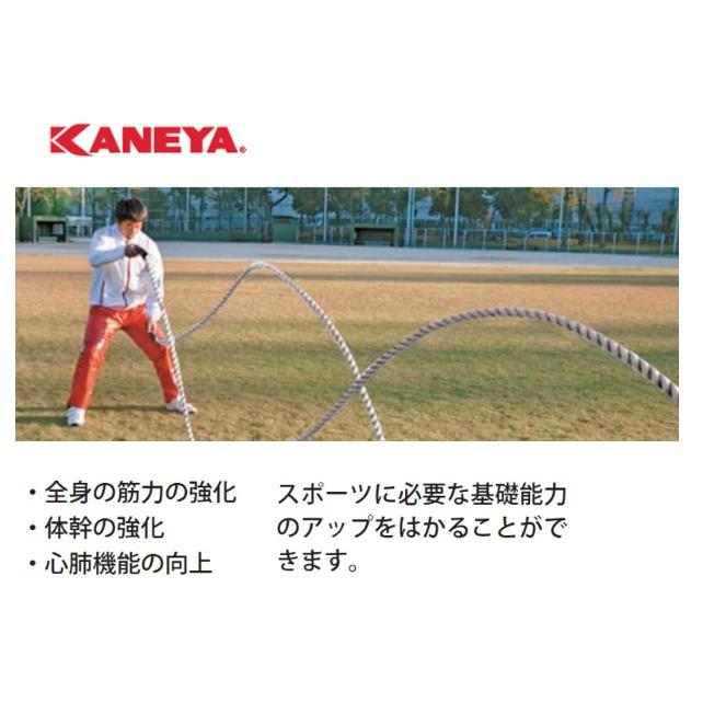 （送料無料）（個人宅配送不可）　KANEYA　カネヤ　トレーニング　体幹トレーニングロープ　38mmφ　12ｍ　1本　KH-437｜kikyoya-honten｜02