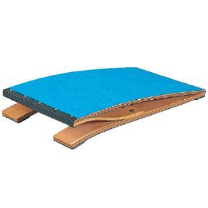 SANWA TAIKU (送料無料)(個人宅配送不可)(三和体育) 体操 幼稚園