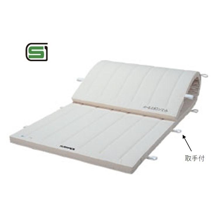 (送料別)(三和体育)体操マット　運動マット　学校　体育用具　スポーツ用具　コンビマット　１２０×２４０×５ｃｍ　帆布９号　S-7831