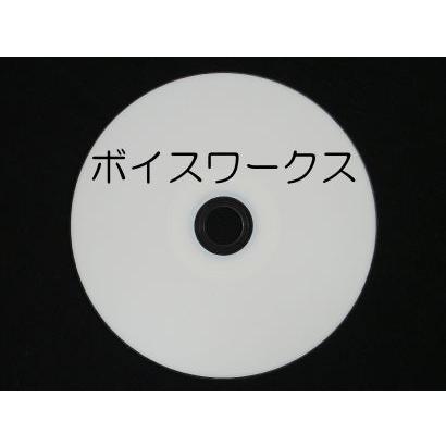 ボイスワークス (PC-Talker・VDMWオプション)