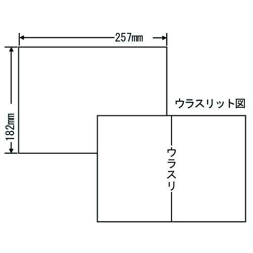 『代引不可』C1B5F ラベルシール 再剥離タイプ B5 100シート×10箱 『返品不可』『日時指定不可』『送料無料（一部地域除く）』