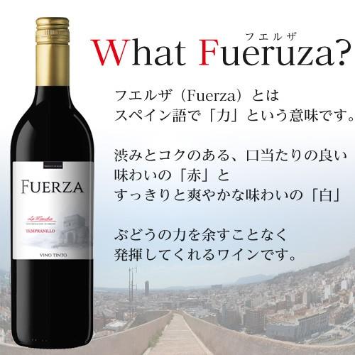 『スペイン直輸入』 フエルザ・ティント 赤 ワイン Fuerza Vino 750ml×12本｜kilat｜03
