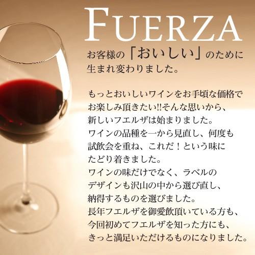 『スペイン直輸入』 フエルザ・ティント 赤 ワイン Fuerza Vino 750ml×12本｜kilat｜04