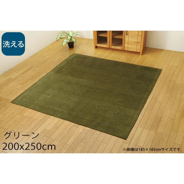 『代引不可』イケヒコ モデルノ 洗える ラグカーペット シェニール織 200×250cm グリーン MDRN200250 『返品不可』『送料無料（一部地域除く）』