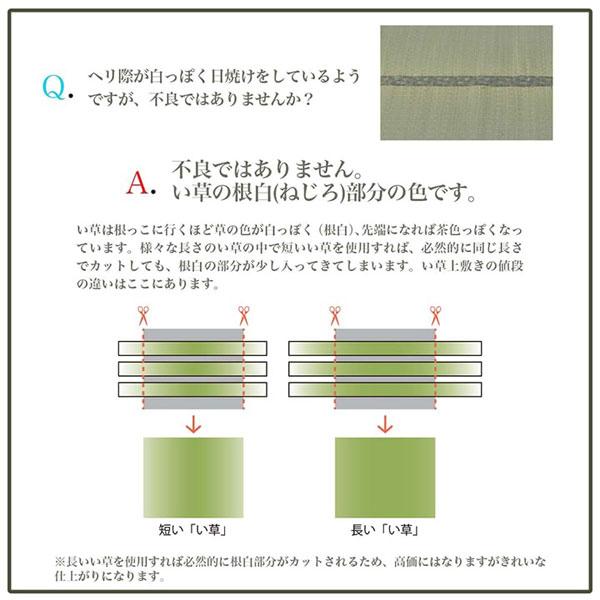 『代引不可』イケヒコ プレーン い草ラグ 191×250cm 敷物 ラグ い草 シンプル 市松柄 ナチュラル 日本製『送料無料（一部地域除く）』_4