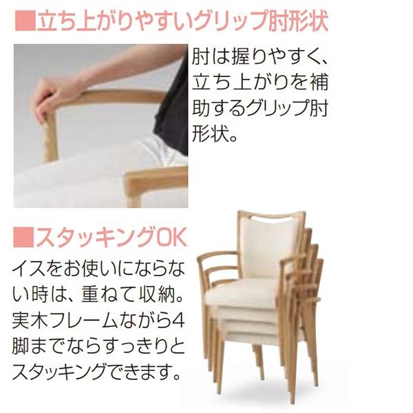 代引不可』 『受注生産品』アイリスチトセ 食堂 ダイニングチェア B