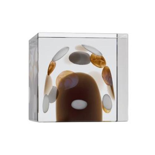 バード バイ トイッカ 『並行輸入品』『売りつくし』 iittala イッタラ