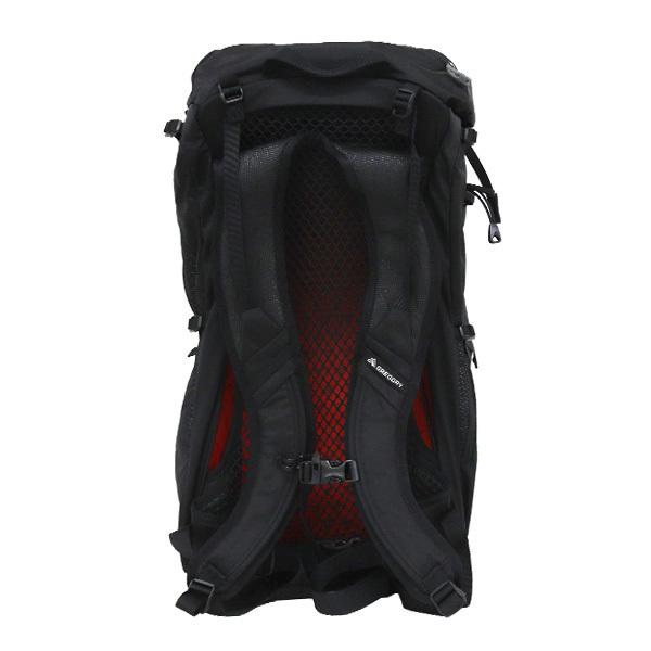 GREGORY グレゴリー リュック アリオ30 フレームブラック 30L