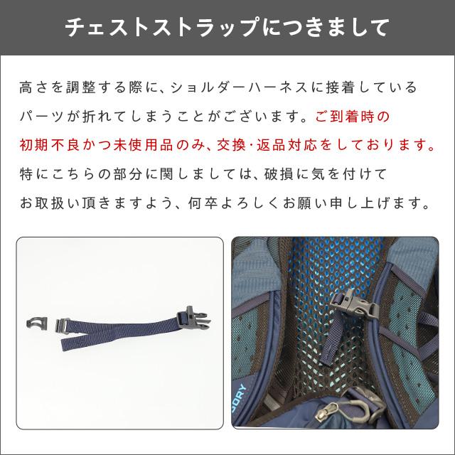 『並行輸入品』グレゴリー リュック アリオ30 フレームブラック 30L GREGORY『送料無料（一部地域除く）』の画像