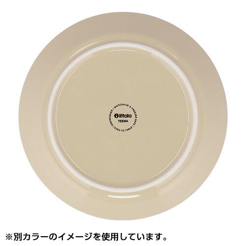 iittala（イッタラ） 『並行輸入品』イッタラ ティーマ 21cm プレート