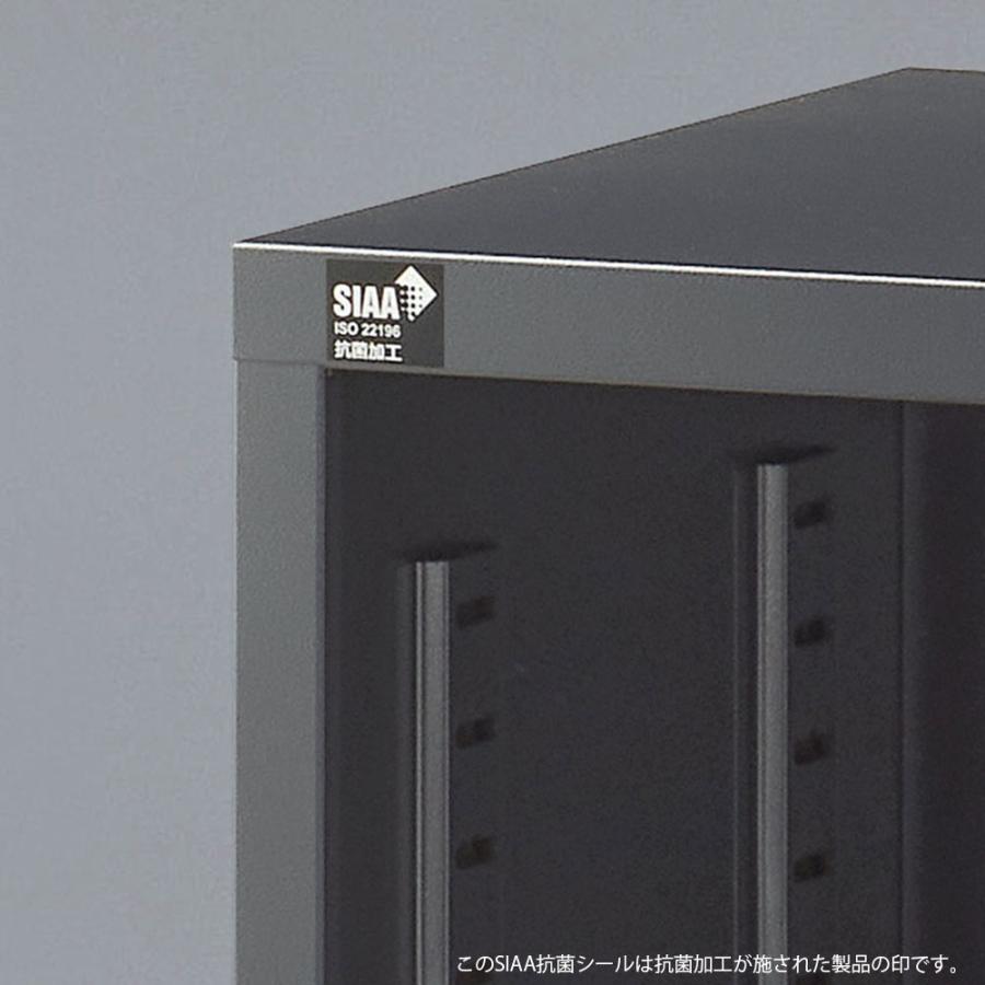 『代引不可』書庫 両開き書庫 H1110mm ブラック ALZK-H34 スチール書庫 A4 黒 上品 おしゃれ 日本製 完成品 生興『送料無料（一部地域除く）』の画像