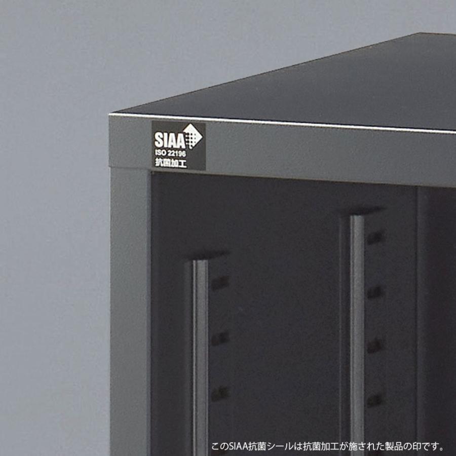 『代引不可』書庫 スチール引戸書庫 H1110mm ブラック ALZK-S34 スチール書庫 A4 黒 上品 日本製 完成品 生興『送料無料（一部地域除く）』の画像