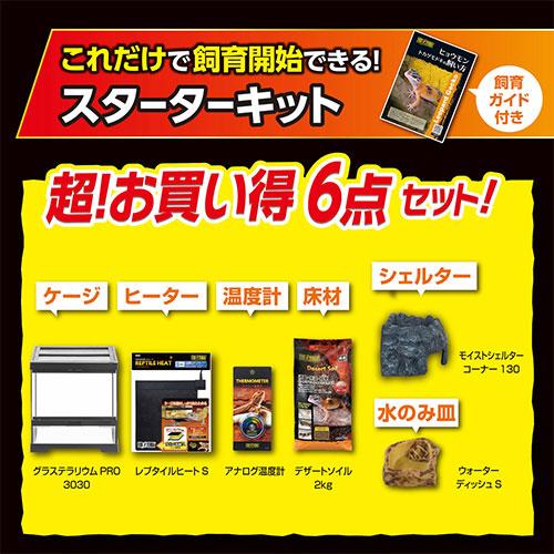 GEX（ジェックス） レオパ飼育キット GTP3030 爬虫類 ヒョウモン