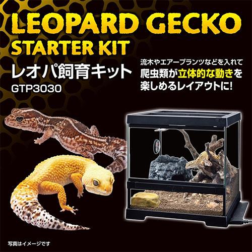GEX（ジェックス） レオパ飼育キット GTP3030 爬虫類 ヒョウモン