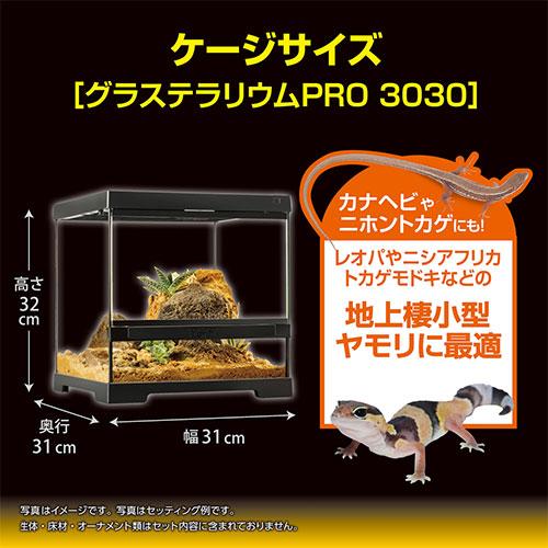 GEX（ジェックス） レオパ飼育キット GTP3030 爬虫類 ヒョウモン