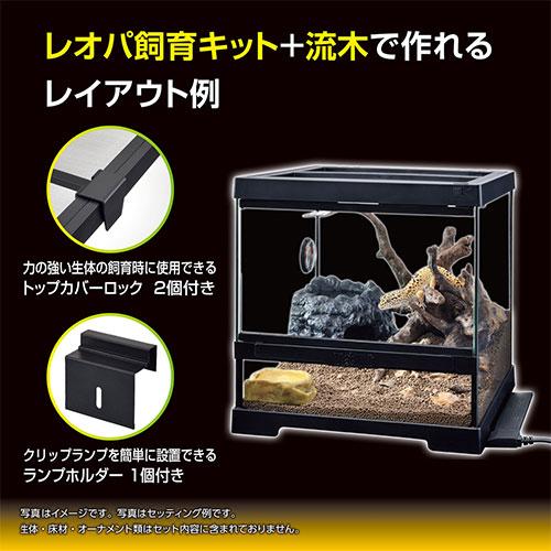 GEX（ジェックス） レオパ飼育キット GTP3030 爬虫類 ヒョウモン