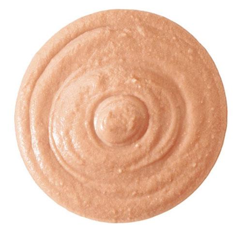 CIAO（いなばペットフード） いなば CIAO ちゅ〜るごはん 総合栄養食