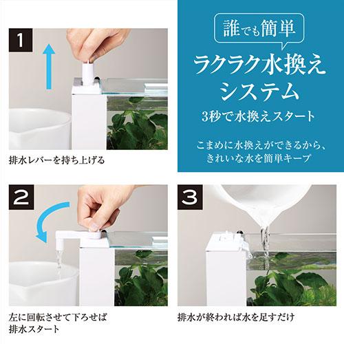 水槽(GEX)と付属品まとめてお得 Amazon | ジェックス ガラス 金魚元気 水きれいセット S | ジェックス