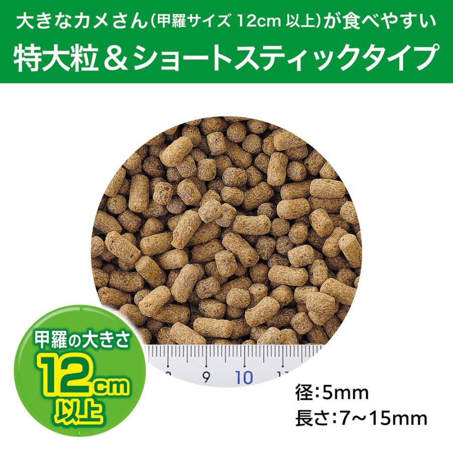 GEX（ジェックス） カメ元気 ごちそうごはん 特大粒 500g 12個