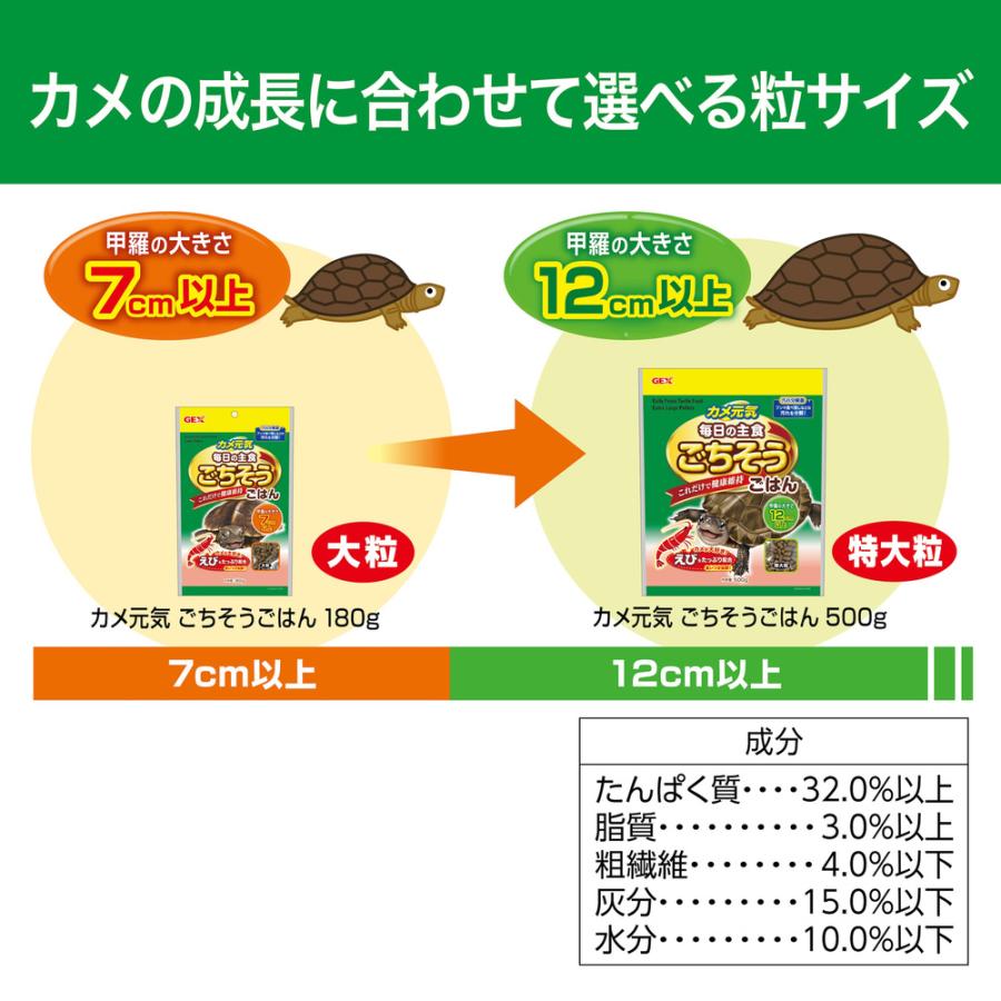 GEX（ジェックス） カメ元気 ごちそうごはん 特大粒 500g 12個