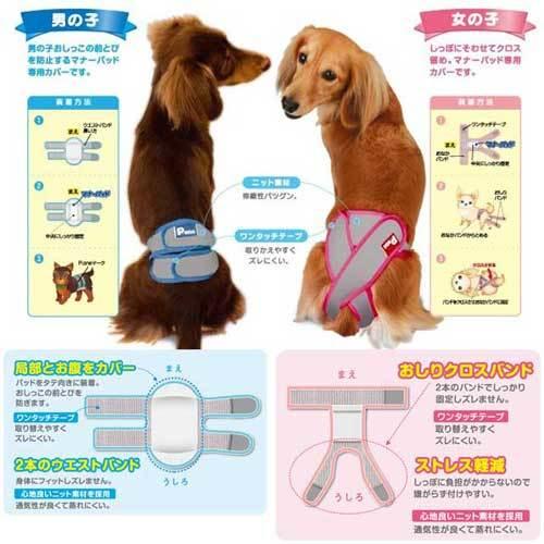 第一衛材 P.one マナーホルダー Active 男の子用 S PMH-757 犬用 ペット用品 マナー トイレ用品 散歩｜kilat｜02