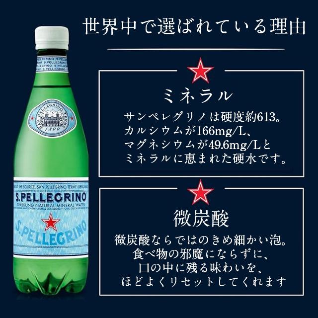サンペレグリノ 500ml 24本 S.pellegrino 炭酸水『送料無料（一部地域除く）』 | サンペレグリノ | 08