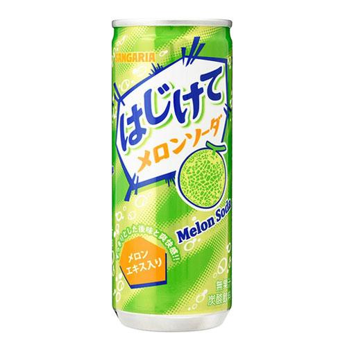 【メロンソーダ】have fun garage PLATE SET メロンソーダ】have fun garage PLATE SET メロンソーダ様専用】have